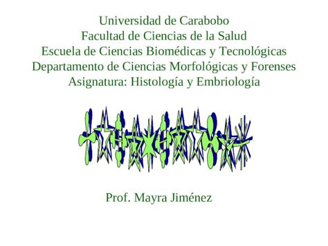 Ppt Introducci N A La Histolog A Prof Mayra Jim Nez Dokumen Tips