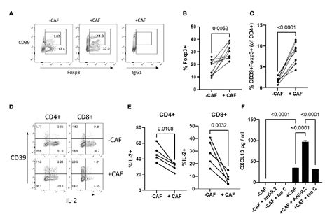 Pdf Cancer Associated Fibroblasts Drive Cxcl13 Production In