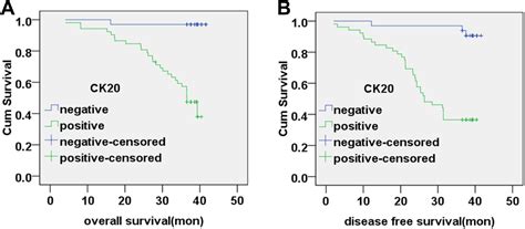 Aberrant Cytokeratin Mrna Expression In Peripheral Blood And Lymph