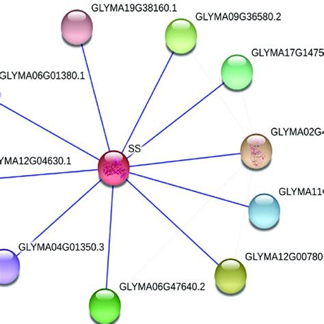 The Protein Protein Interaction Ppi Network Built By String Database