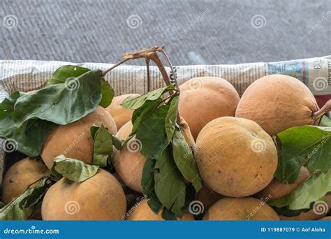 El Santol O El Cottonfruit Del Koetjape De Sandoricum Es Una Fruta