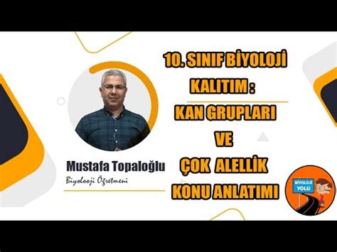 Sinif B Yoloj Kalitim Kan Gruplari Ve Ok Alell K Konu Anlatimi