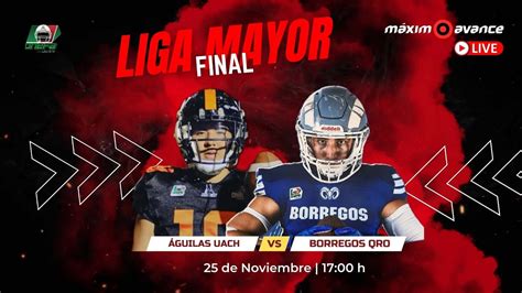 M Ximo Avance En Vivo Guilas Uach Vs Borregos Qro Liga Mayor Final