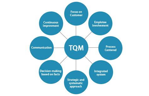 What Is Total Quality Management 8 Principle And Its Understanding