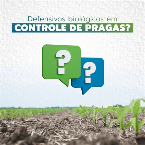 Defensivos Biol Gicos Em Controle De Pragas S B