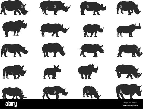 Rhino Silhouettes Rhinos Silhouette Rhino Vector Illustration Rhino