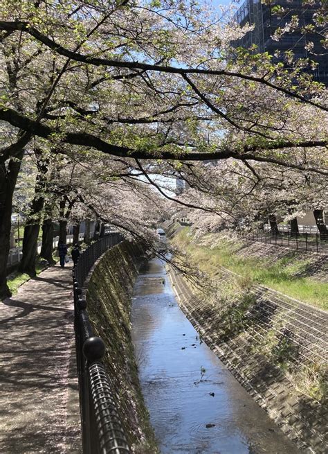 ”今日はアベマ開局記念の日” Amebaありさの小さなお部屋