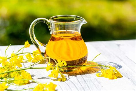 What Is Rapeseed Oil?