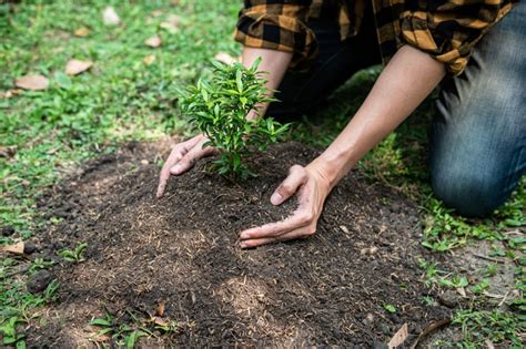 Basic Gardening Tips For Beginners Walter S Greenhouses And Garden