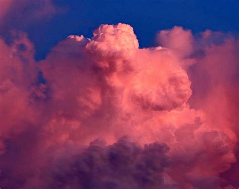 Pink Clouds · Free Stock Photo