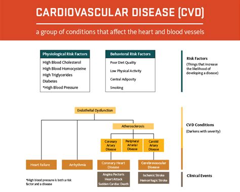 Cvd Risk