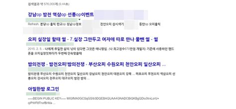 음란마귀 ‘소라넷 서버폐쇄부터 서비스 종료까지 17년