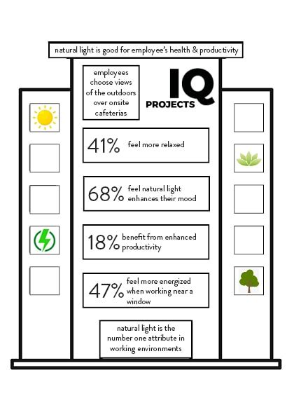 The Importance Of Natural Light In Commercial Spaces Commercial