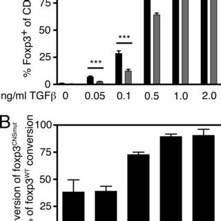 Analysis Of T Cell Transfer Colitis Naive T Cells From Foxp3WT Mice