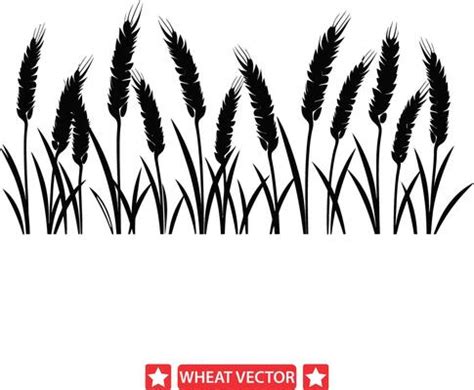 Wheat Silhouette Vector Art, Icons, and Graphics for Free Download