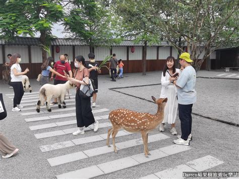 張美阿嬤農場宜蘭三星景點動物親子樂園超有趣門票交通 Darren蘋果樹旅遊玩樂誌