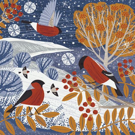 Bullfinches Illustration Matt Johnson Illustration