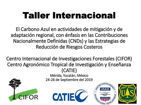 PDF Taller Internacional El Carbono Azul En Actividades De Por