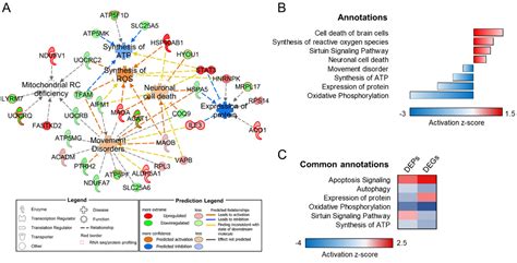 Biomolecules Free Full Text Integrative Organelle Based Functional Proteomics In Silico