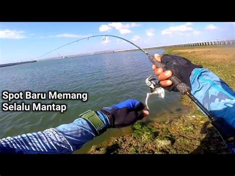 Spot Pinggiran Disini Begitu Mantap Bermodal Satu Umpan Sakti Reel