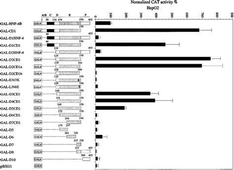 Transcriptional Activity Of Hnf And Its N Terminal Deletion Mutants