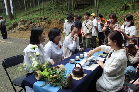 草嶺石壁森林療癒祭開跑 歡迎走進山林踏香森呼吸 蕃新聞