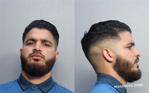 Reyesmolina Julio Cesar Miami Dade County Mugshots Zone