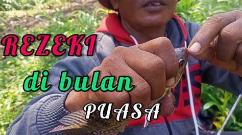 Mancing Ikan Nila Di Bulan Puasa Hasil Memuaskan Spot Sungai Rawa