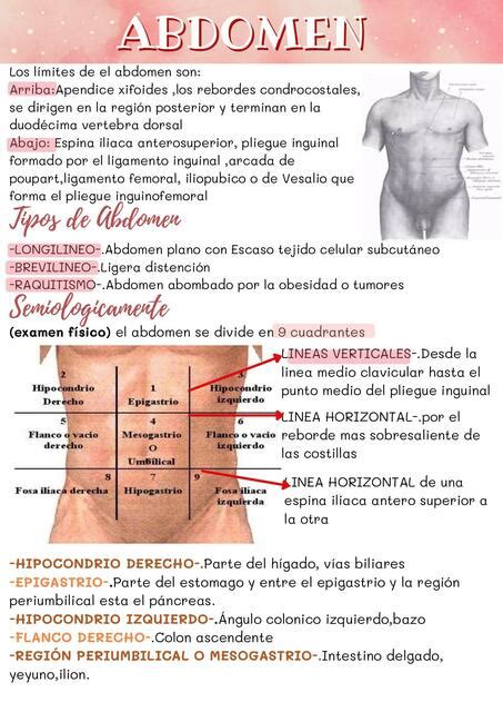 Abdomen MEDI KALI UDocz