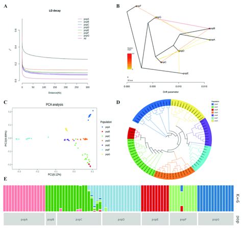 Genetic Structure And Characterization Of 82 Goats From 7 Breeds A