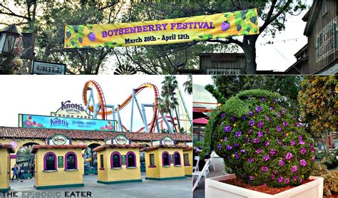 Boysenberry Festival At Knotts Berry Farm • The Episodic Eater