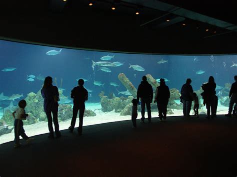 ABQ BioPark Aquarium - VHGArchitects – Zoos & Aquariums