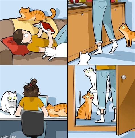 Relatable Cat Comics For Feline Owners Appreciators Artofit