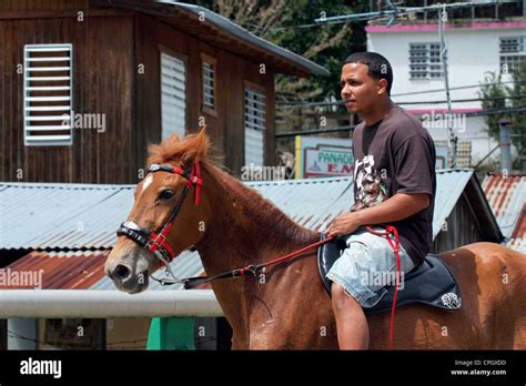 PUERTO RICO - CORDILLERA CENTRAL Stock Photo - Alamy