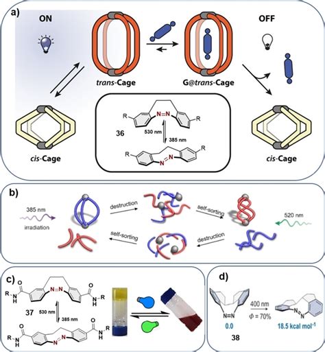 Azoheteroarene And Diazocine Molecular Photoswitches Self‐assembly Responsive Materials And