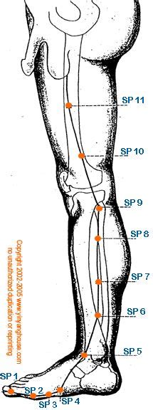 Spleen Meridian Points And Functions In 2020 Acupressure Acupuncture