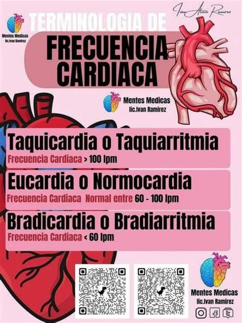 Terminologia De Frecuencia Cardiaca YUDOC ORG UDocz