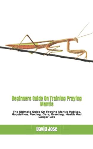 Beginners Guide On Training Praying Mantis The Ultimate Guide On Praying Mantis Habitat