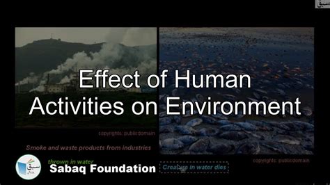 Human Activities Affect The Environment Ppt