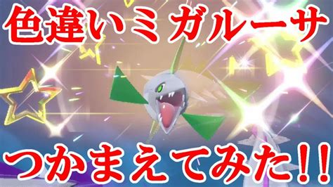 【ポケモンsv】色違いミガルーサつかまえてみた！！ Youtube