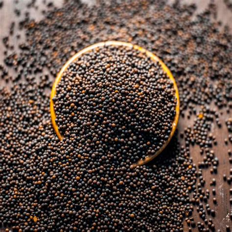 Black Mustard Seeds For Planting Indoors or Outdoors