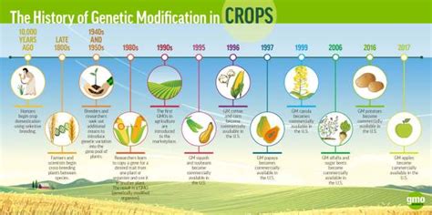 History of Genetic Modification in Crops | Know-It-All