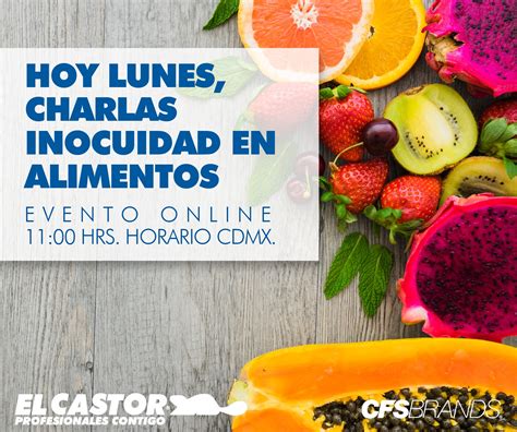 Cepillos El Castor 4