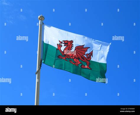 Welsh Flag Hi Res Stock Photography And Images Alamy