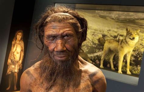 Mengenal Lebih Dekat Dengan Manusia Purba Neanderthal Ini 5 Faktanya