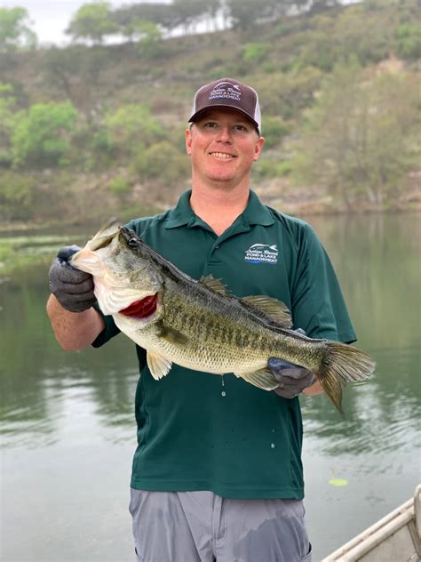 Pond Stocking Service Lochow Ranch Pond Lake Management