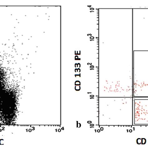 Flow Cytometric Detection Of Circulating Endothelial Cells Cecs And