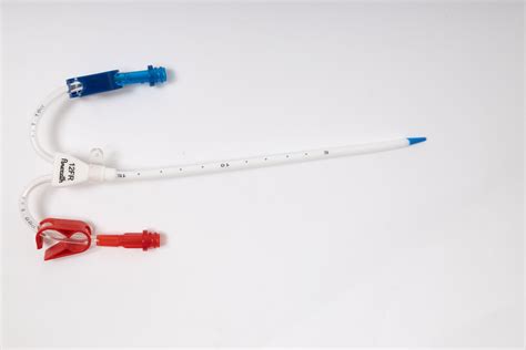 Double Lumen Catheter