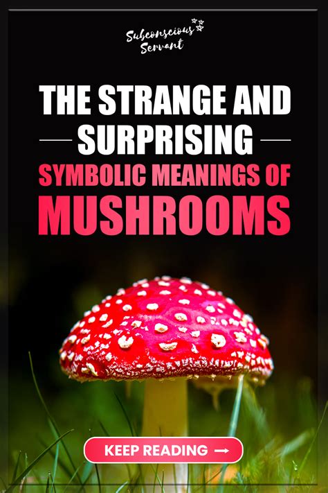 Mushrooms: Their Strange & Surprising Symbolic Meanings