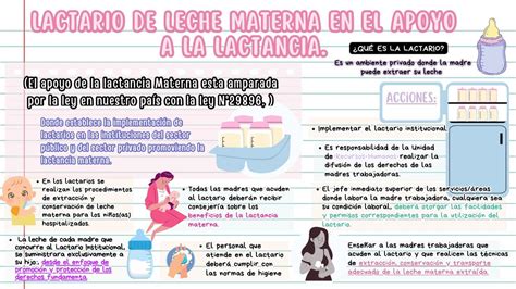 LACTARIO DE LA LECHE MATERNA EN EL APOYO A LA LACTANCIA HEYDI MAYLI